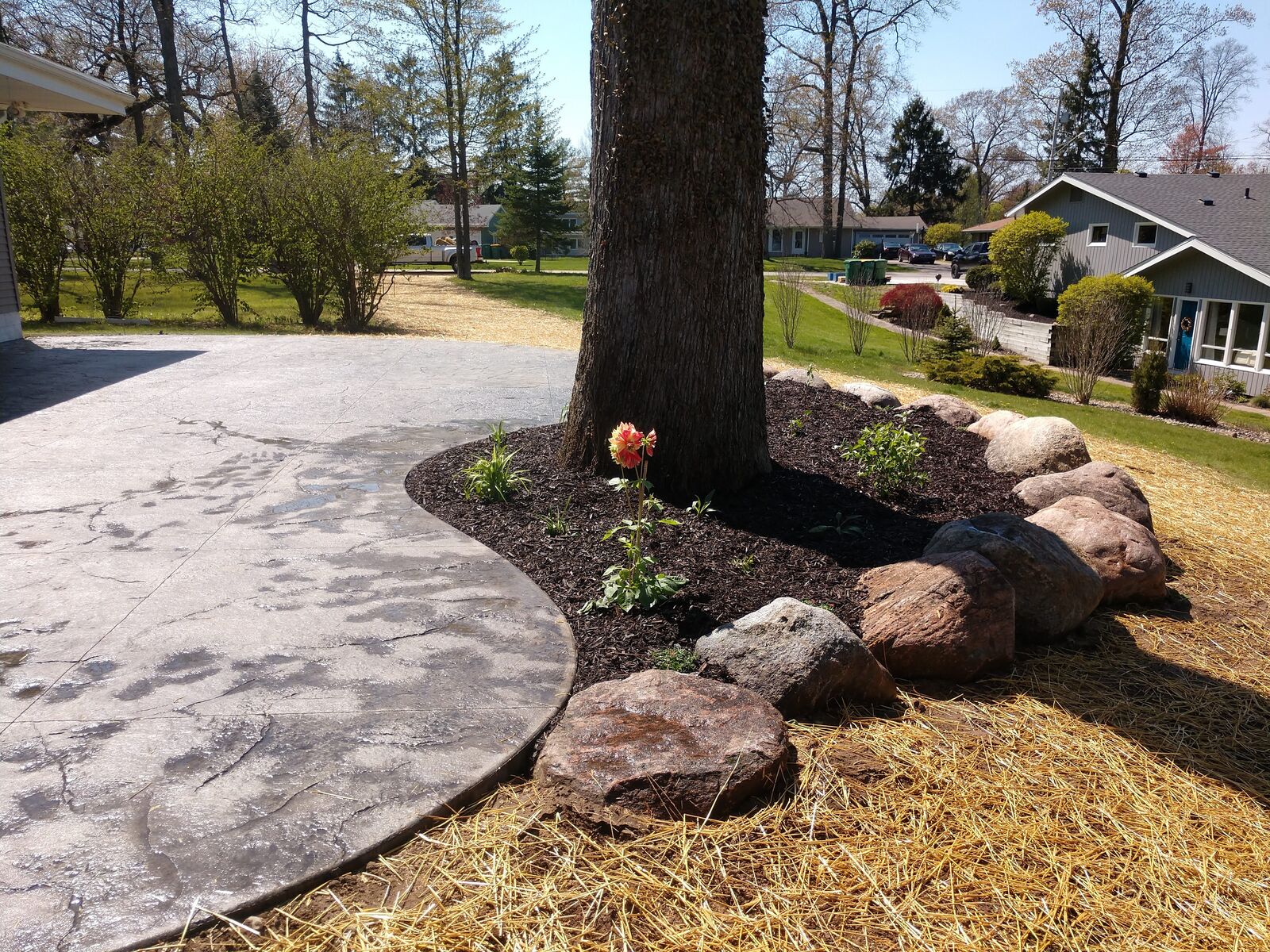 Hamilton Project 81
