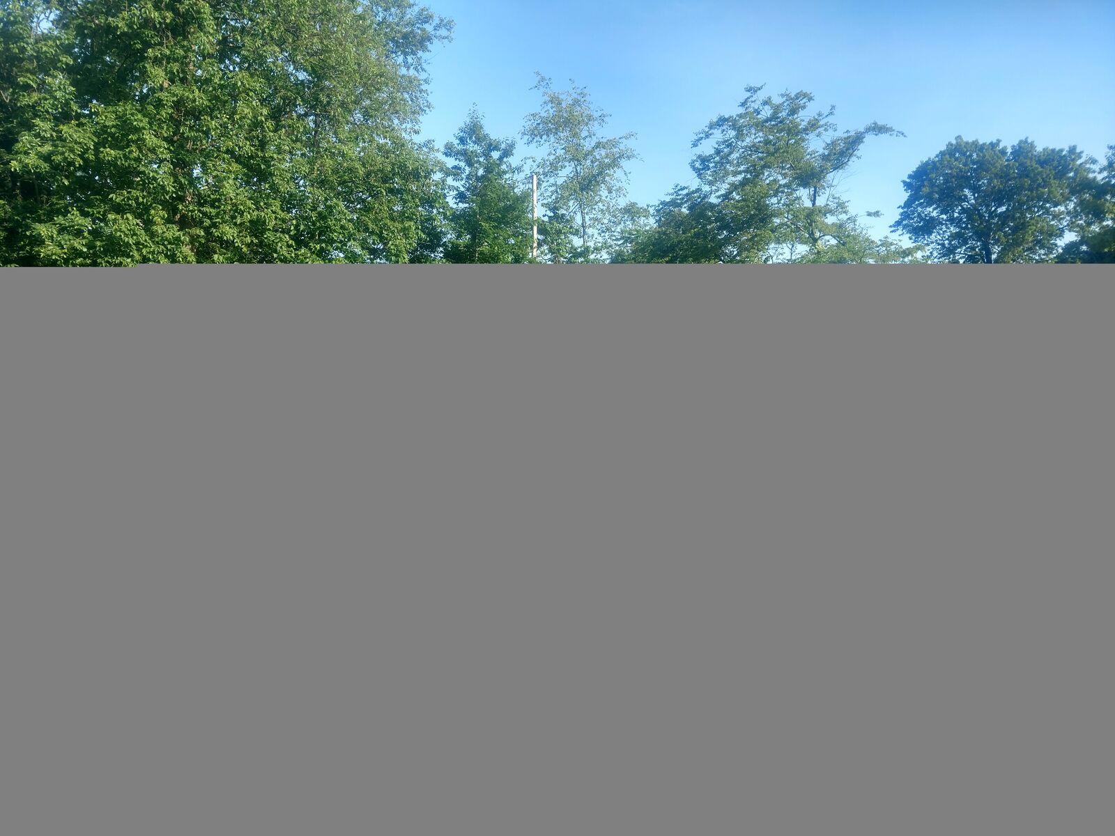 Hamilton Project 54